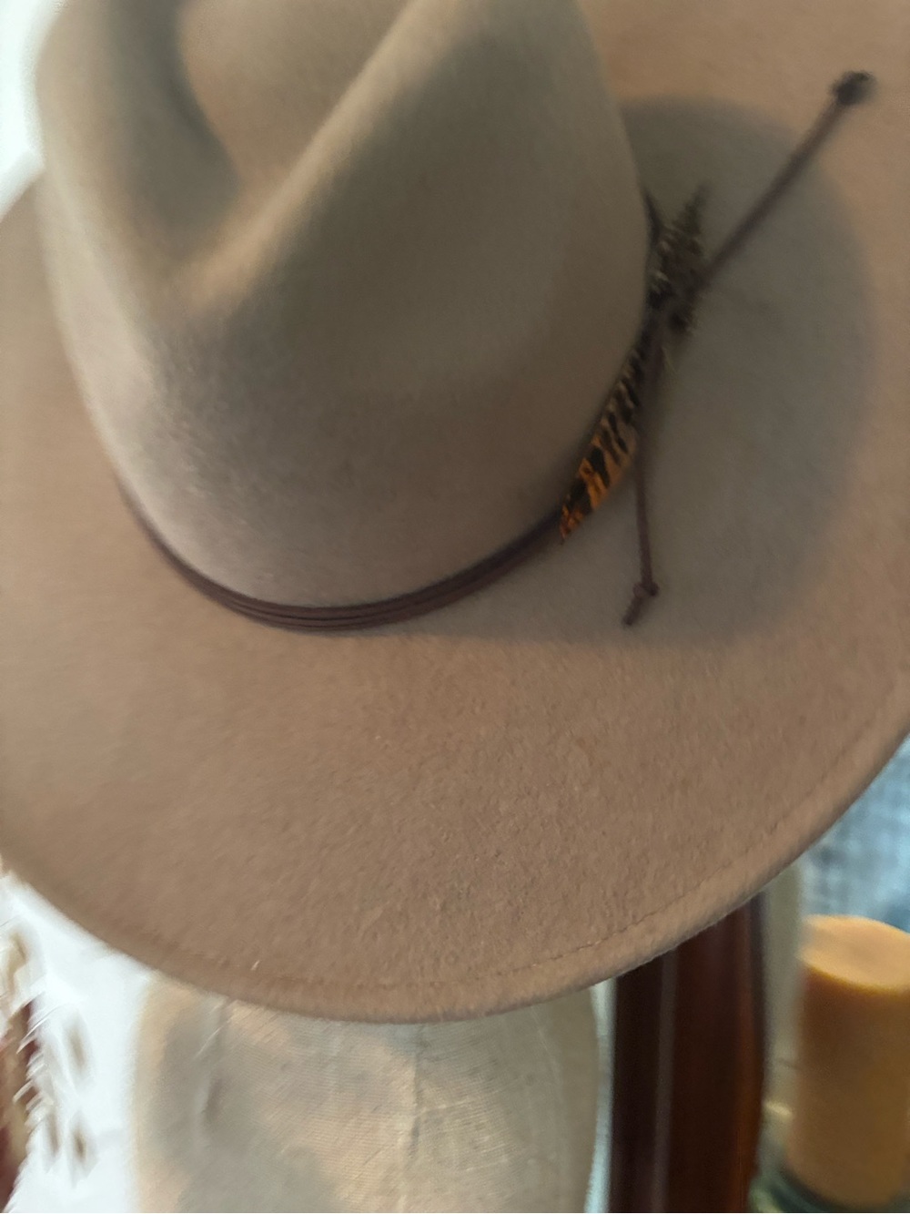 Overland Brown Felt Hat with Feather Trim - Picture 3 of 9